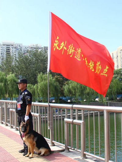 犬防服务