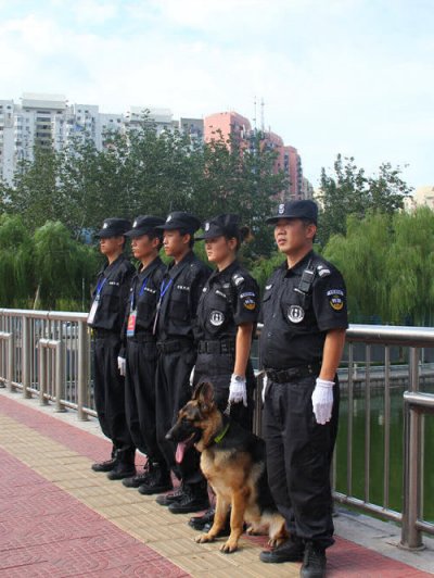 犬防服务